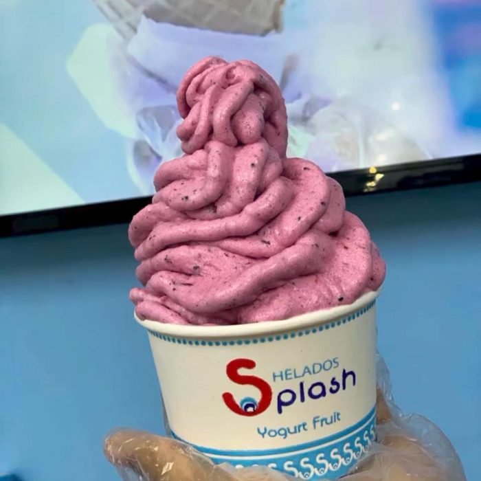 Yogurt Fruit servido en un vaso de Helados Splash SD